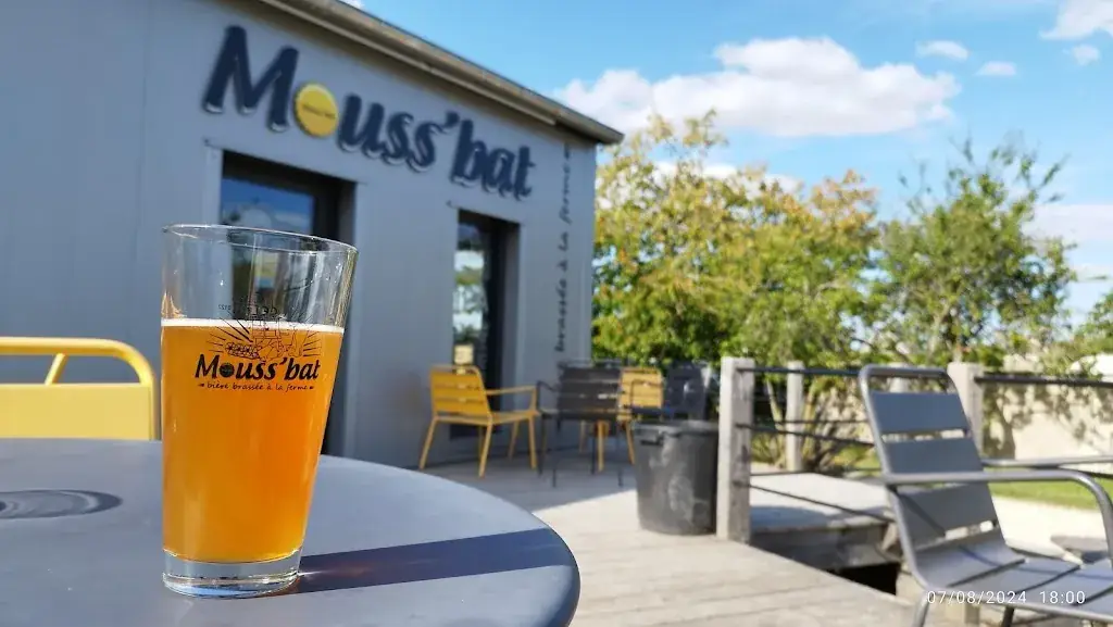 Karl FOURRIER_Mouss’bat_Chaingy_review