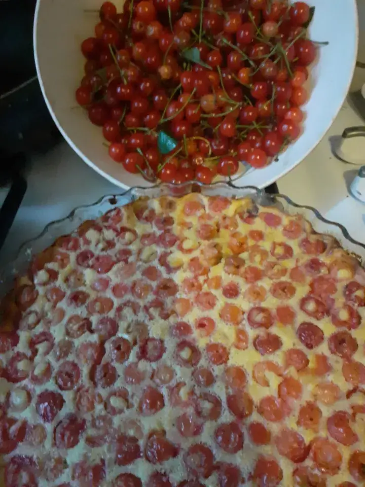 Menu_Au l'Augère_Charenton-du-Cher_image_4