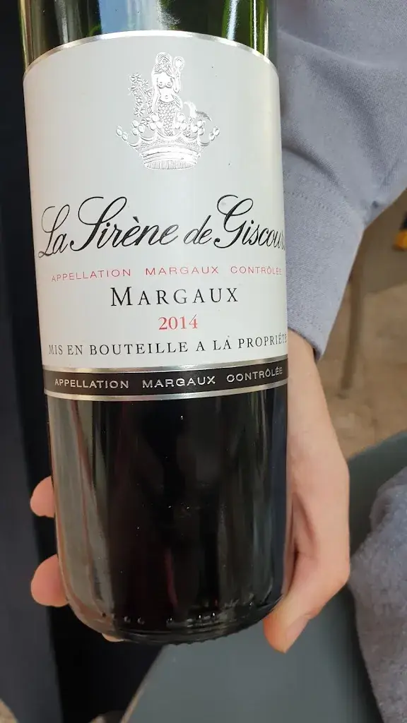 Menu_Auberge du Cheval Blanc_Selles-Saint-Denis_immagine_7