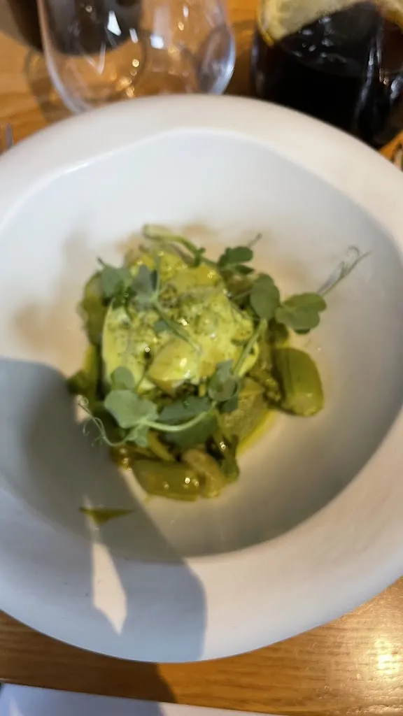 Riddhima Gohil_terra_Chartres_review