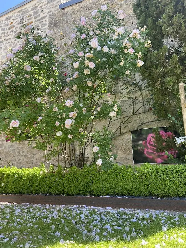 Aline M_Restaurant Le Lancelot_Chilleurs-aux-Bois_review