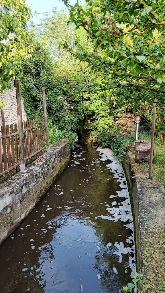 Maria Bach_Le Moulin 1826 - Restaurant et Chambres d'hôtes_Houdan_review