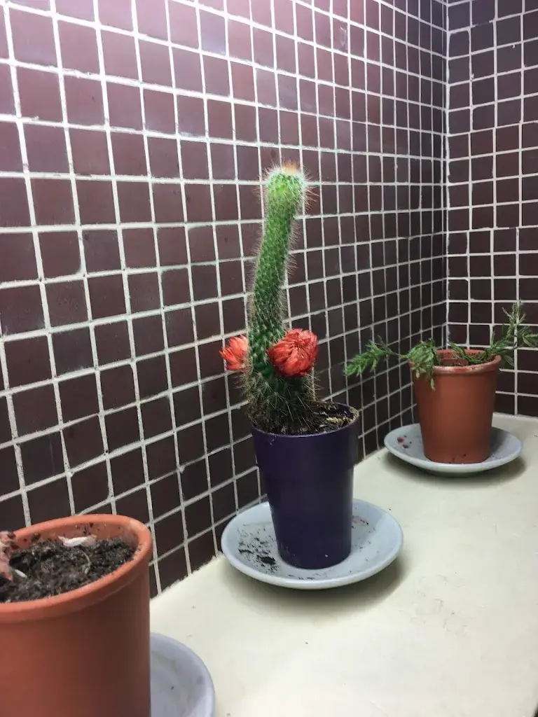 Kelsey Ning_Marou Restaurant_Chevilly-Larue_review