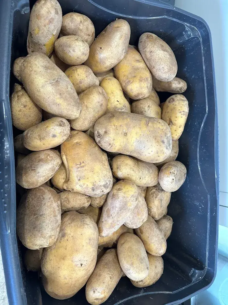 Menu_Les Mordus du Burger_Château-Renard_image_8