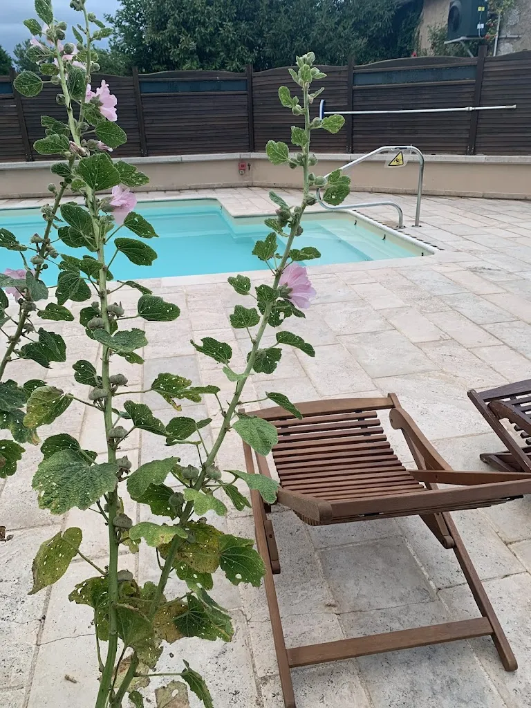 Caroline Hofer_Restaurant de l'Auberge du Centre_Chitenay_review