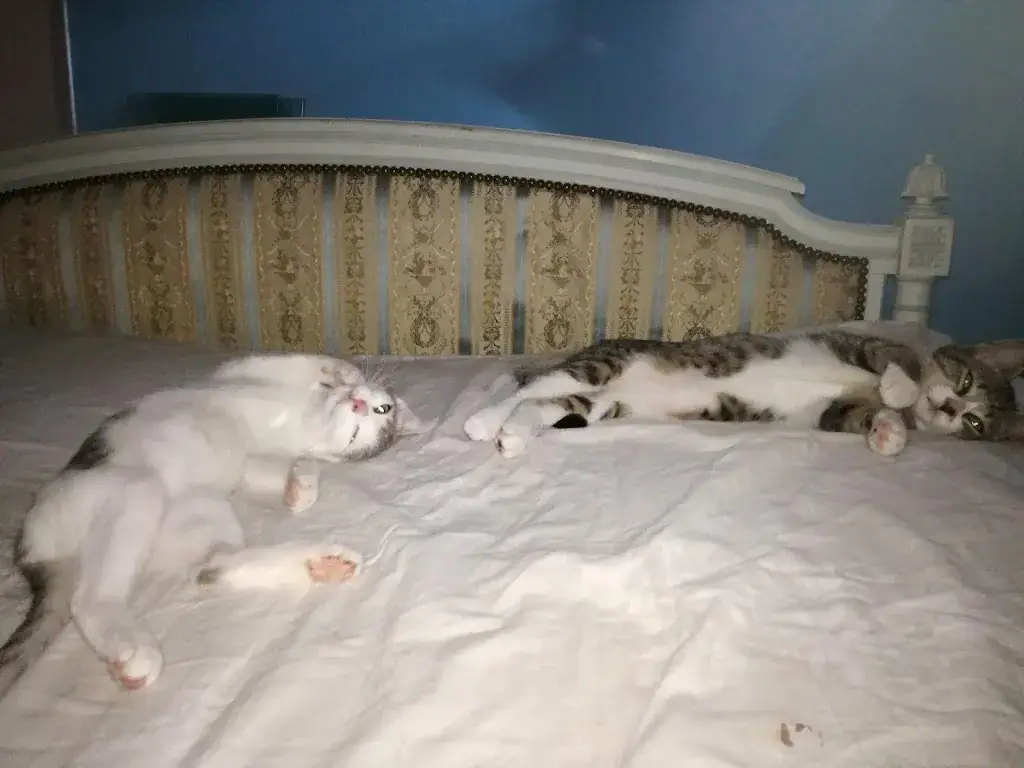 Le Denis Papin_Chitenay_slider_image_2