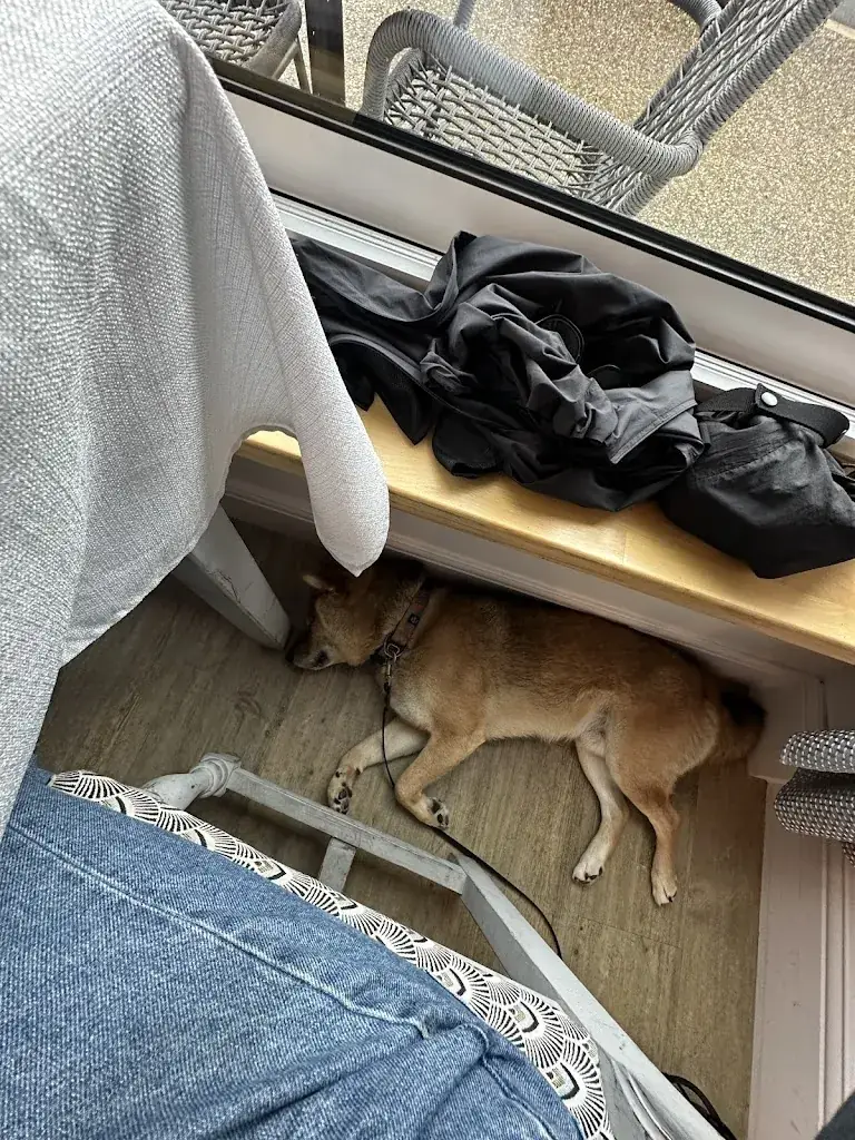 Tatyana Kolpakova_La Charbonnette_Veuzain-sur-Loire_review