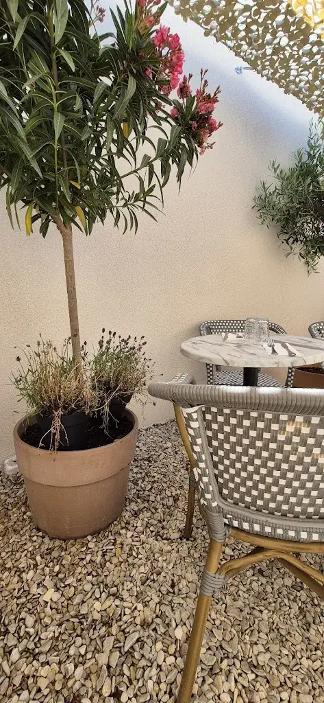 Vieux Schnock_Restaurant Trattoria Méditerranée_Châteauneuf-sur-Loire_review