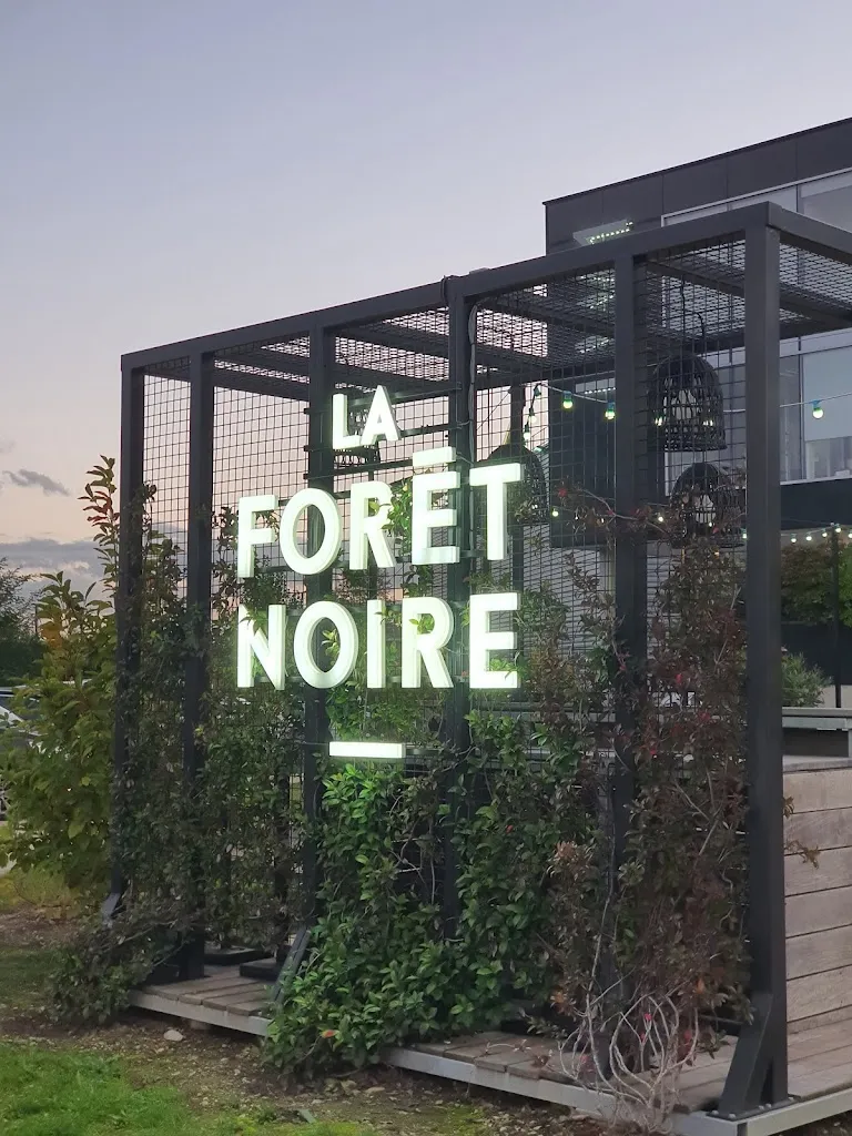 Jens G. Jungfleisch_La Forêt Noire_Chaponost_review