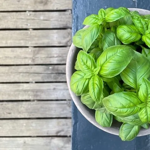 Menu_Pizza et Cie_Brignais_image_4