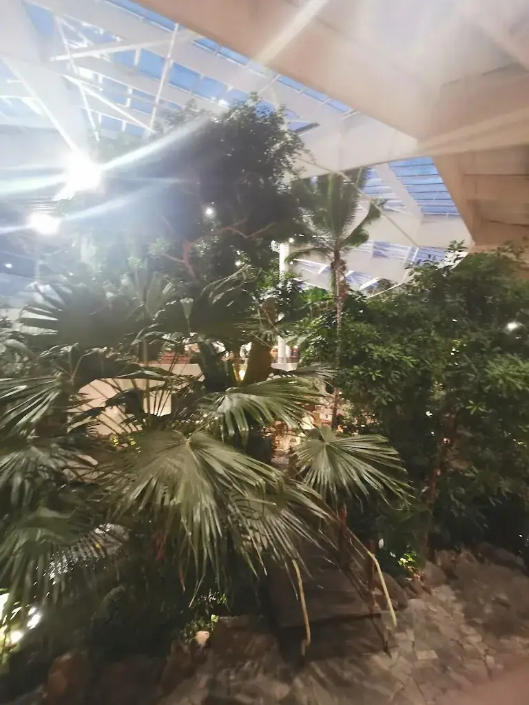 Kevin Drawings_Le marché_Chaumont-sur-Tharonne_review