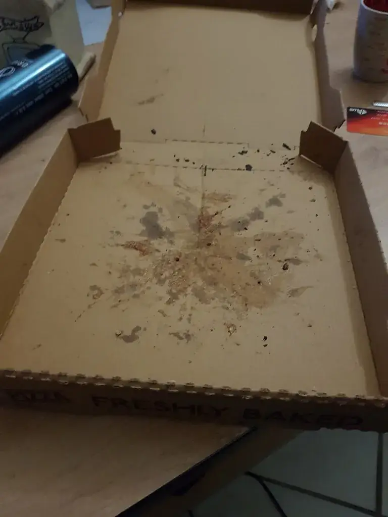 Alissa Geoffray_Chrono Pizza_Cloyes-les-Trois-Rivières_review