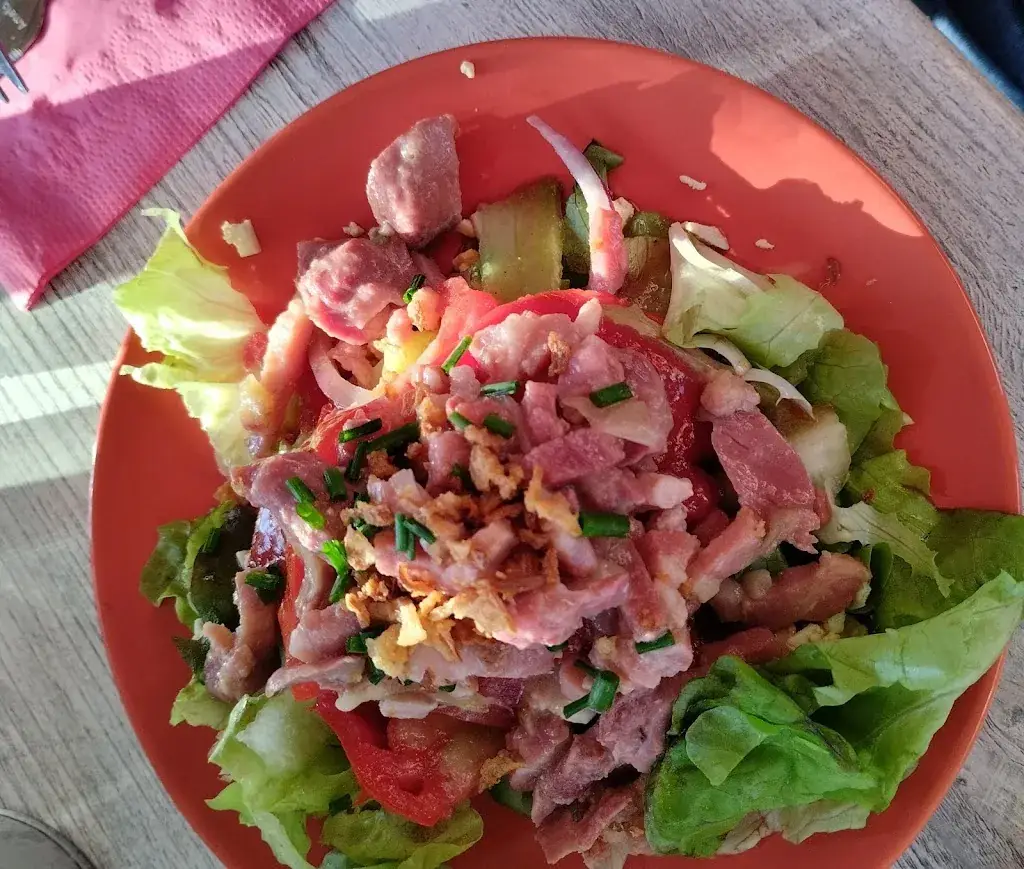 Dodo Narcisse_La Saulaie_Descartes_review