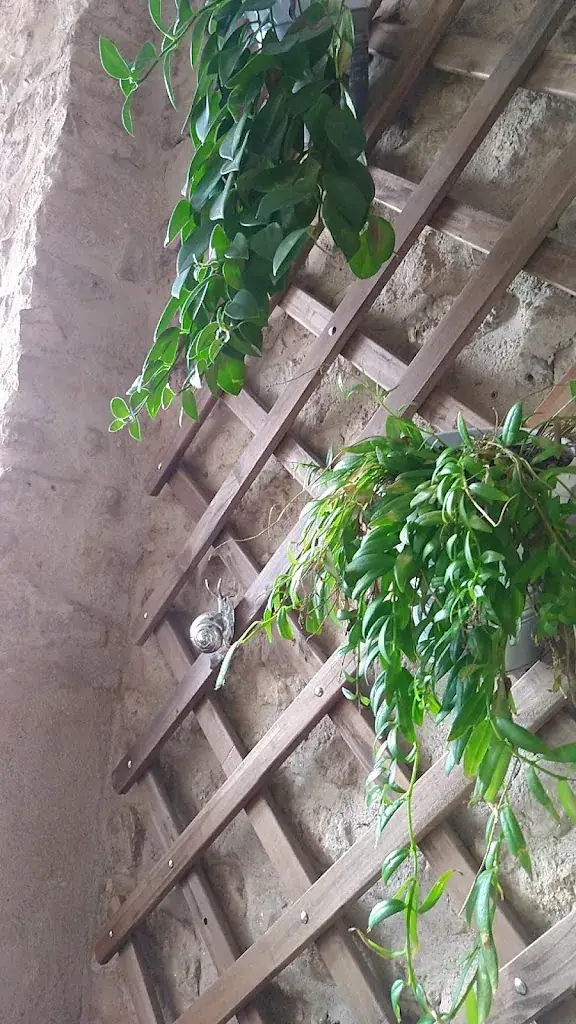 Isabelle Peper_L'atelier_Pithiviers_review