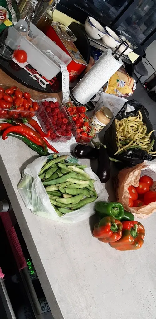 Léonie Nanouche_Libre cueillette de Dadonville (Thomas Lydia)_Dadonville_review