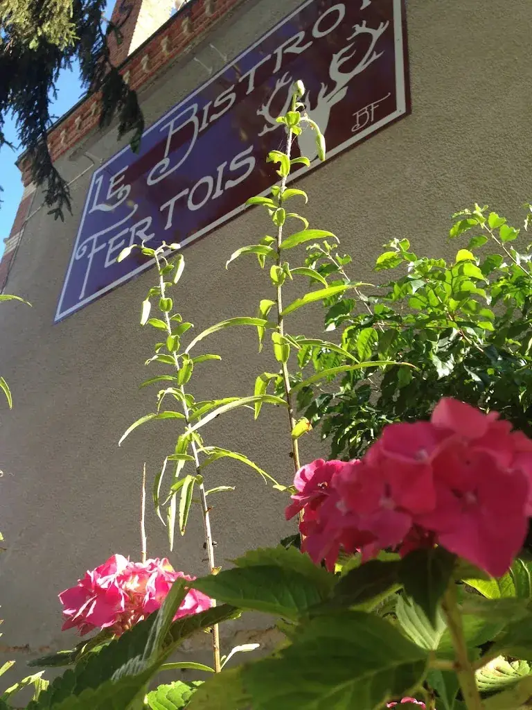 Le Bistrot Fertois_Ferté-Saint-Cyr_slider_image_3