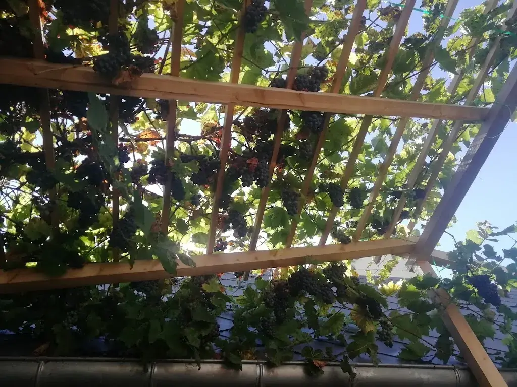 M G_Le Paradize_Courville-sur-Eure_review