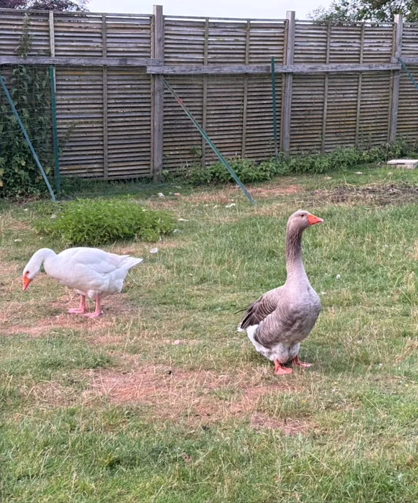 James Thai_L'Étape Gourmande_Villandry_review