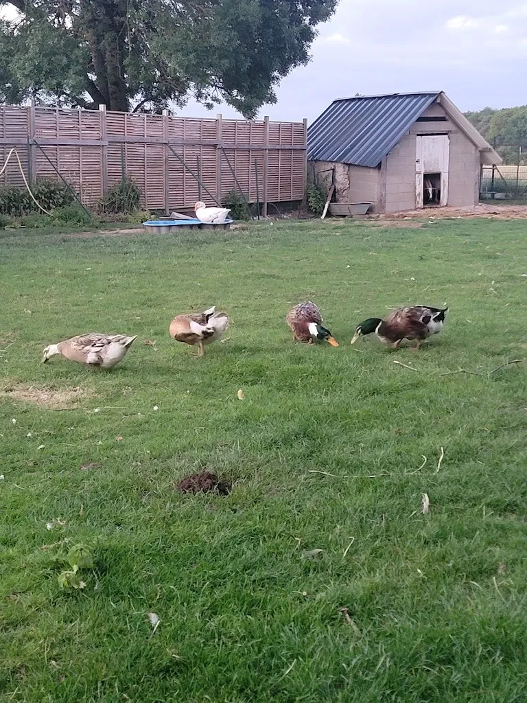 natalie baruch_L'Étape Gourmande_Villandry_review