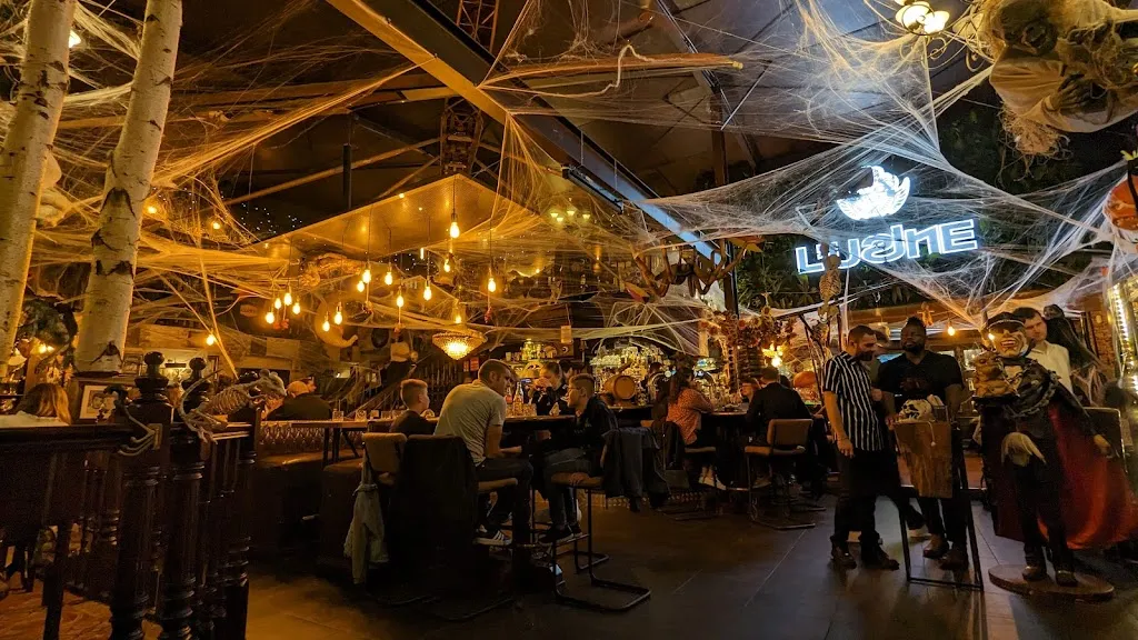 Luciano Lingnau_L'Usine_Melun_review