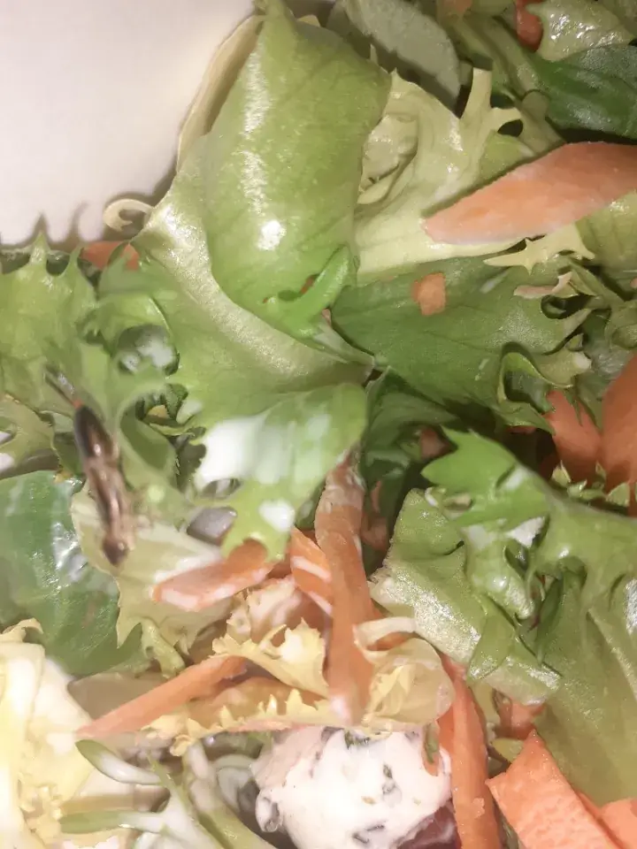 Menu_Quick de Dammarie les Lys_Dammarie-les-Lys_immagine_9