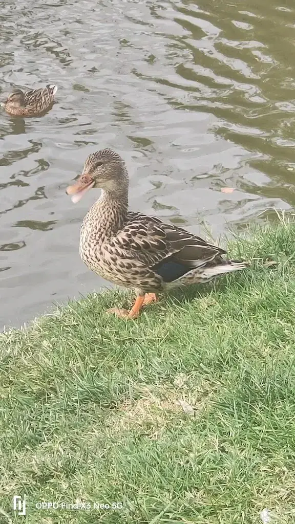 La P'titeTablée - Fay aux Loges_Fay-aux-Loges_slider_image_2