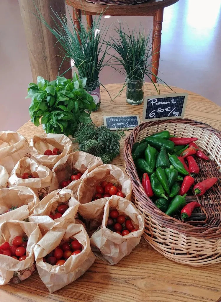 Tobias_Le Pre du Puy_Cébazat_review