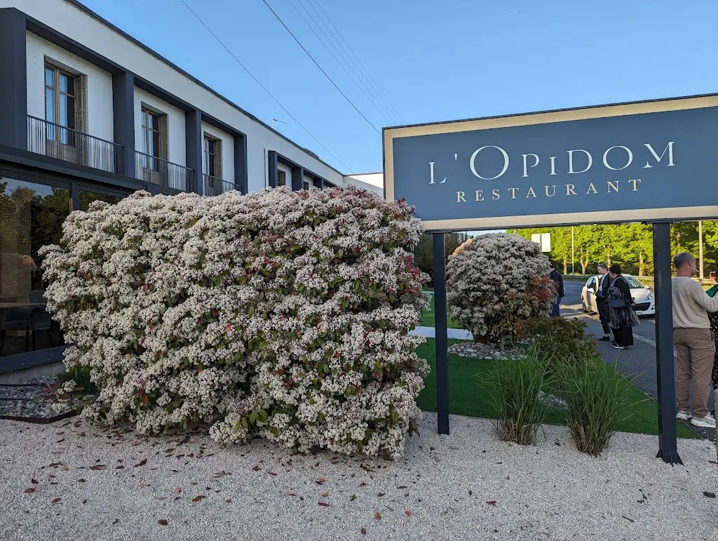 David Lam_L'Opidom_Fondettes_review