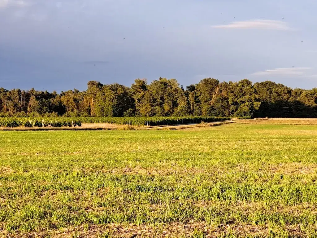 La Table de Loire_Huisseau-sur-Cosson_slider_image_2