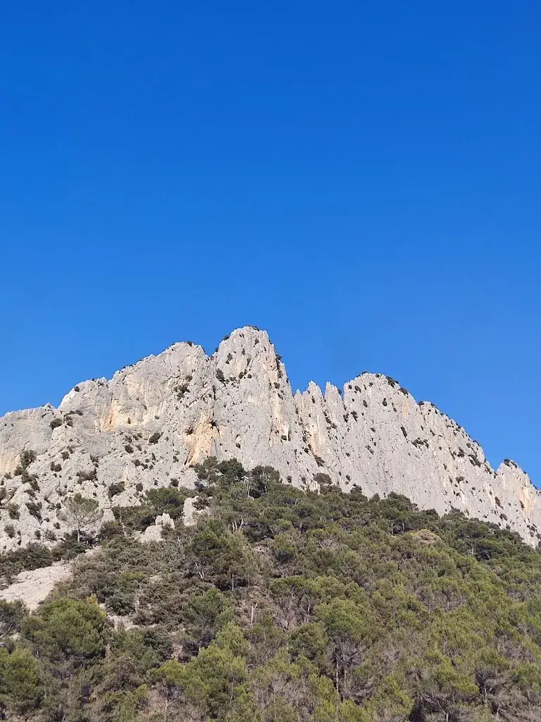 Restaurant du Domaine Saint Julien_Buis-les-Baronnies_slider_image_3