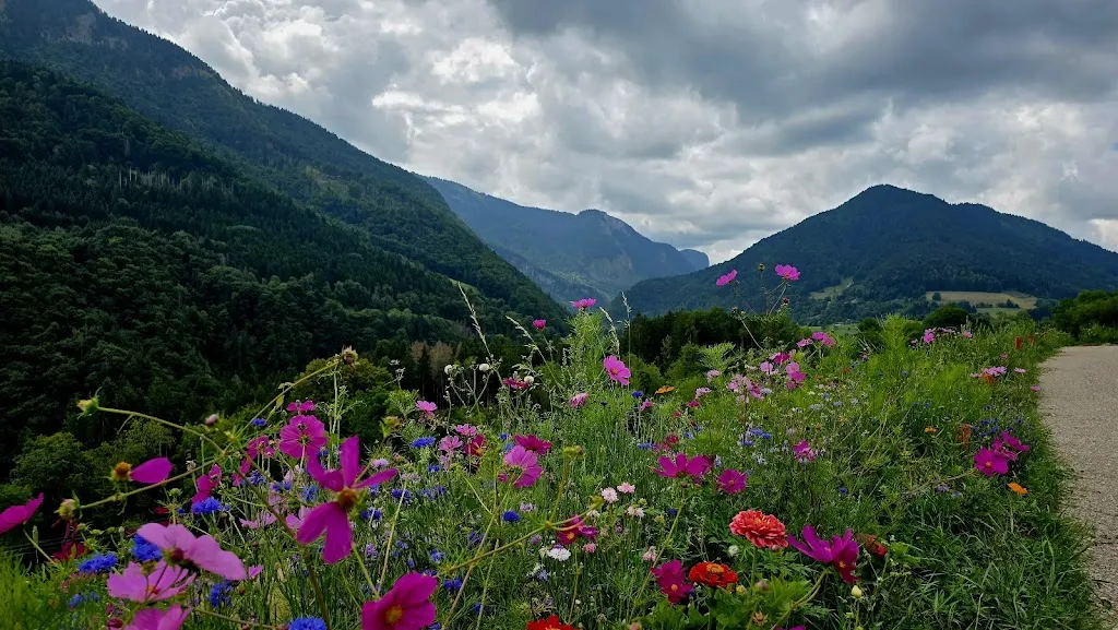 GP - SM_Restaurant Frédéric Molina à Forêt Ivre_Vailly_review
