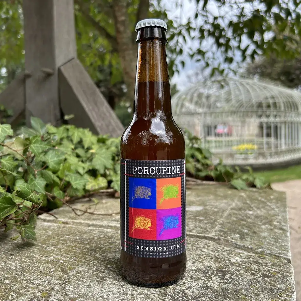 Menu_Brasserie PORCUPINE - Tours_Riche_image_5