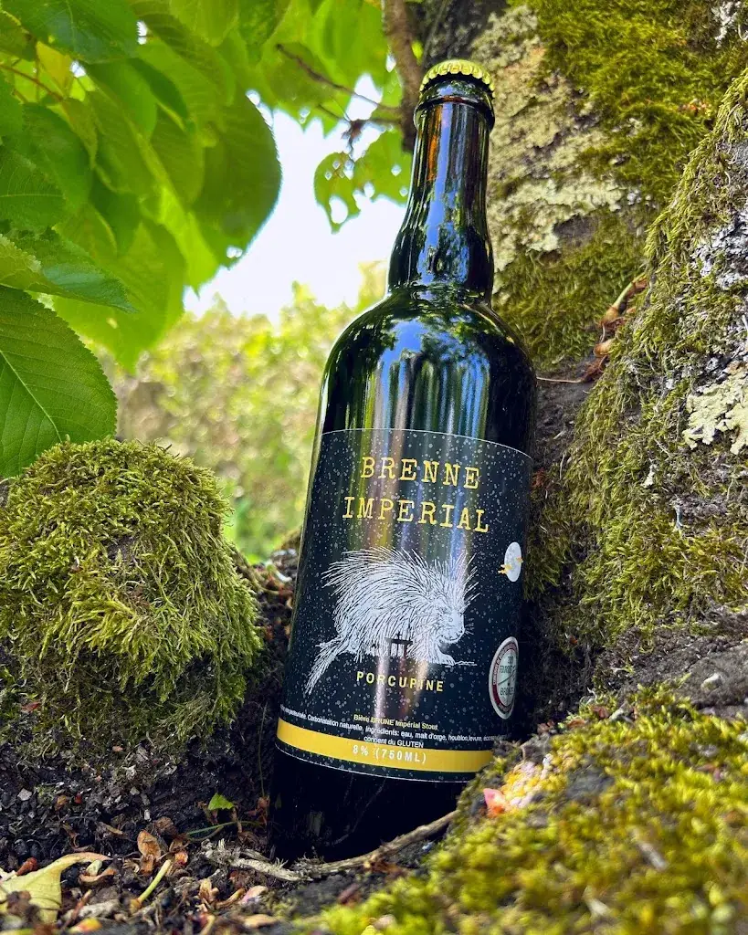 Brasserie PORCUPINE - Tours_Riche_slider_image_2