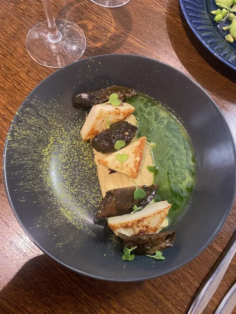 Patrick Dirksen_MAGA_Orléans_review