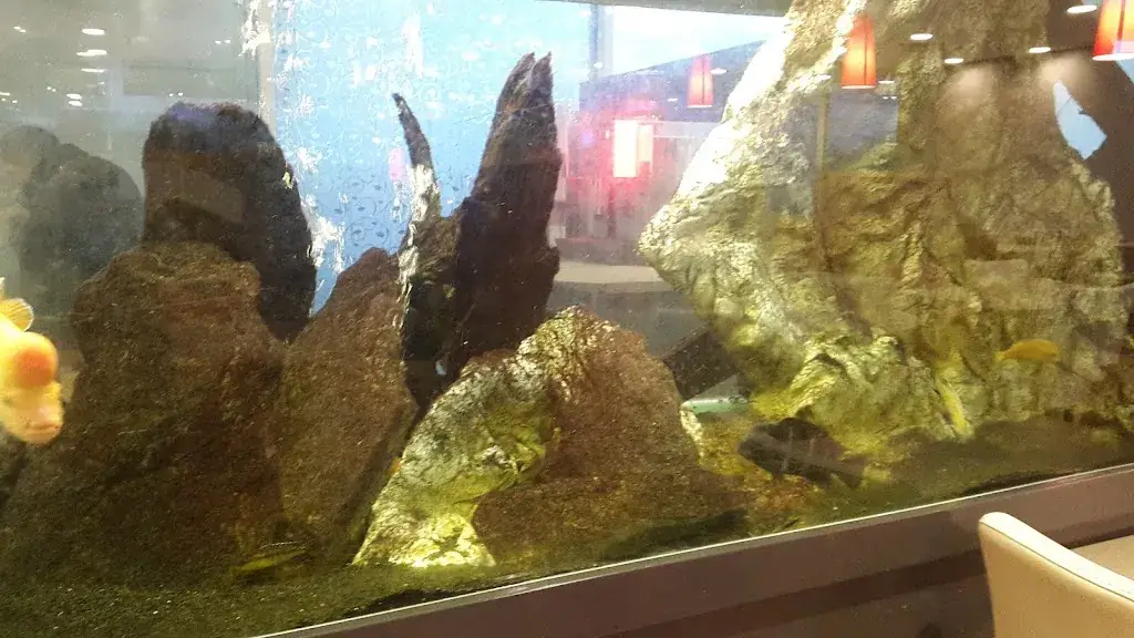 B And. SS_Comptoirs Casino_Luant_review