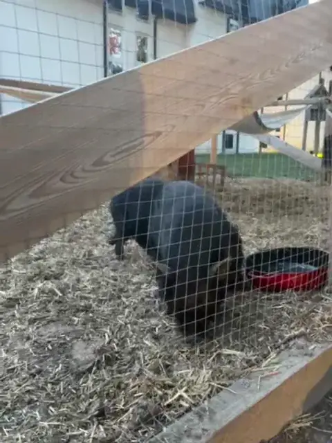 Mickaël Loiseau_Restaurant - Demeures de Campagne Parc du Coudray_Coudray-Montceaux_review