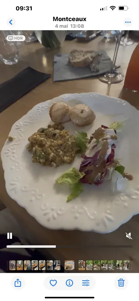 Marzanna Aubert_Restaurant - Demeures de Campagne Parc du Coudray_Coudray-Montceaux_review