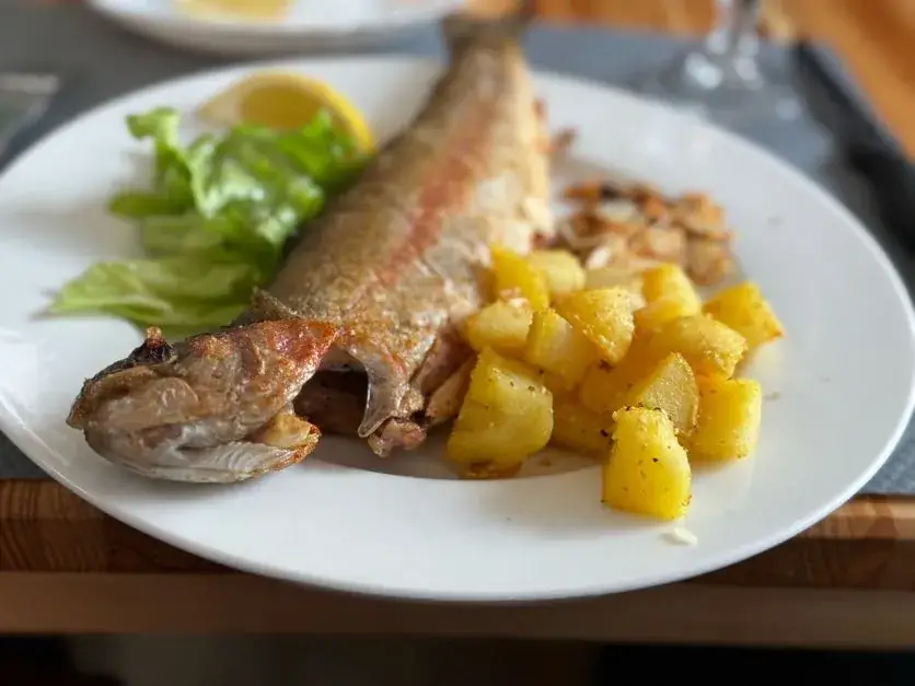 Shai Zorea_Le Gab_Lingé_review