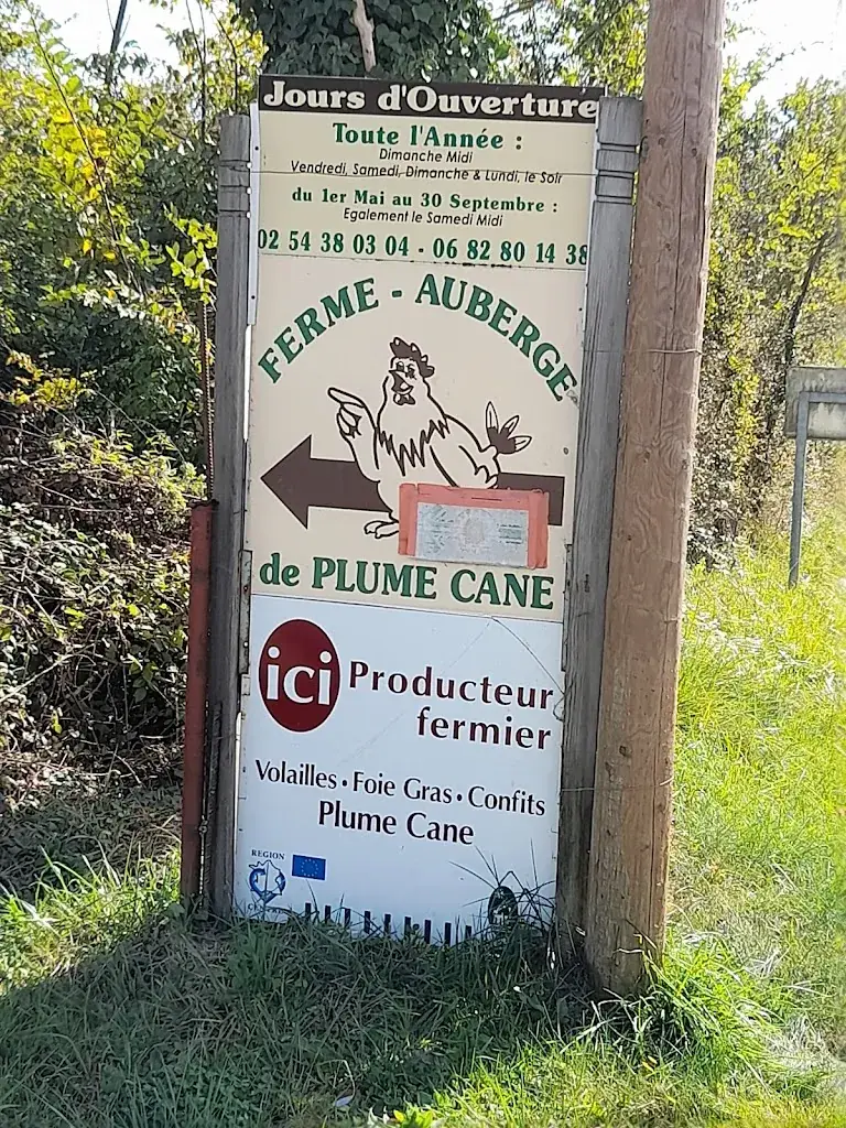 Gylla Magee_Ferme Auberge de Plume Cane_Mézières-en-Brenne_review