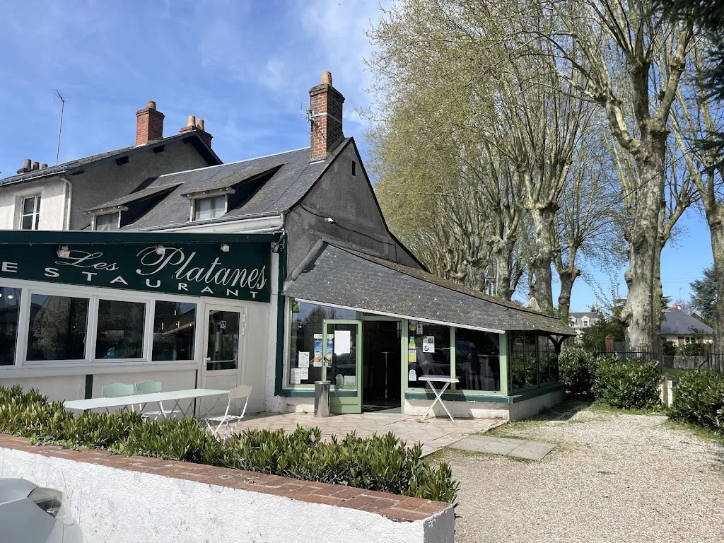 Smooth Traveller_RESTAURANT LES PLATANES_Nazelles-Négron_review