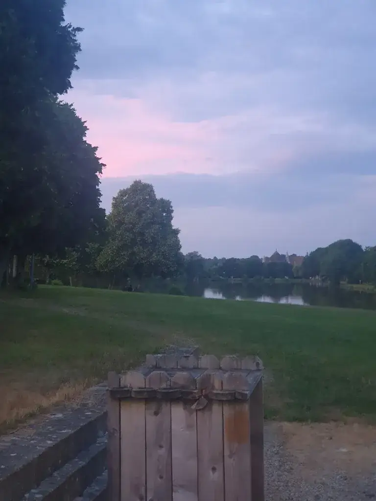 Alma Surfer_Restaurant 