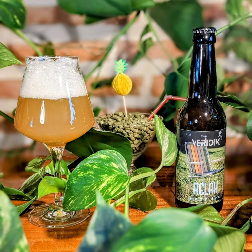 Menu_MICRO BRASSERIE VERIDIK_Mehun-sur-Yèvre_image_4