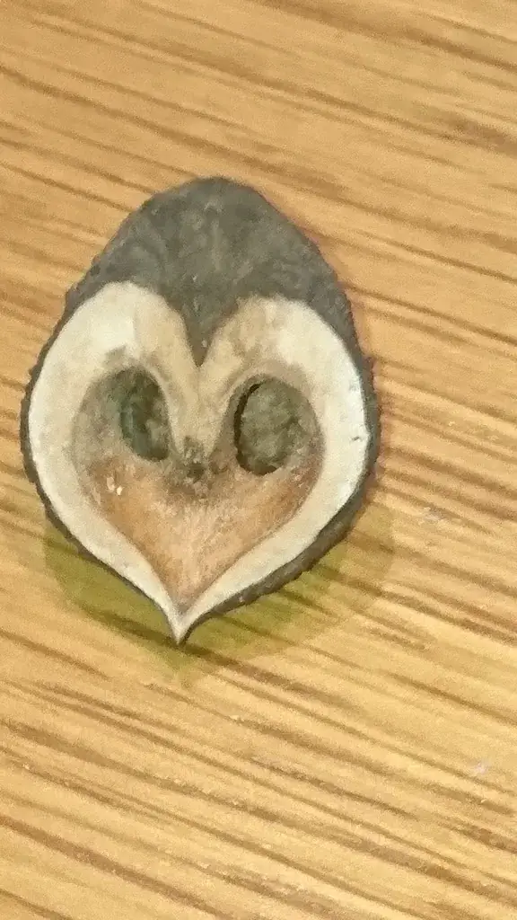 Menu_Le Bis TR'o_Montoire-sur-le-Loir_image_5