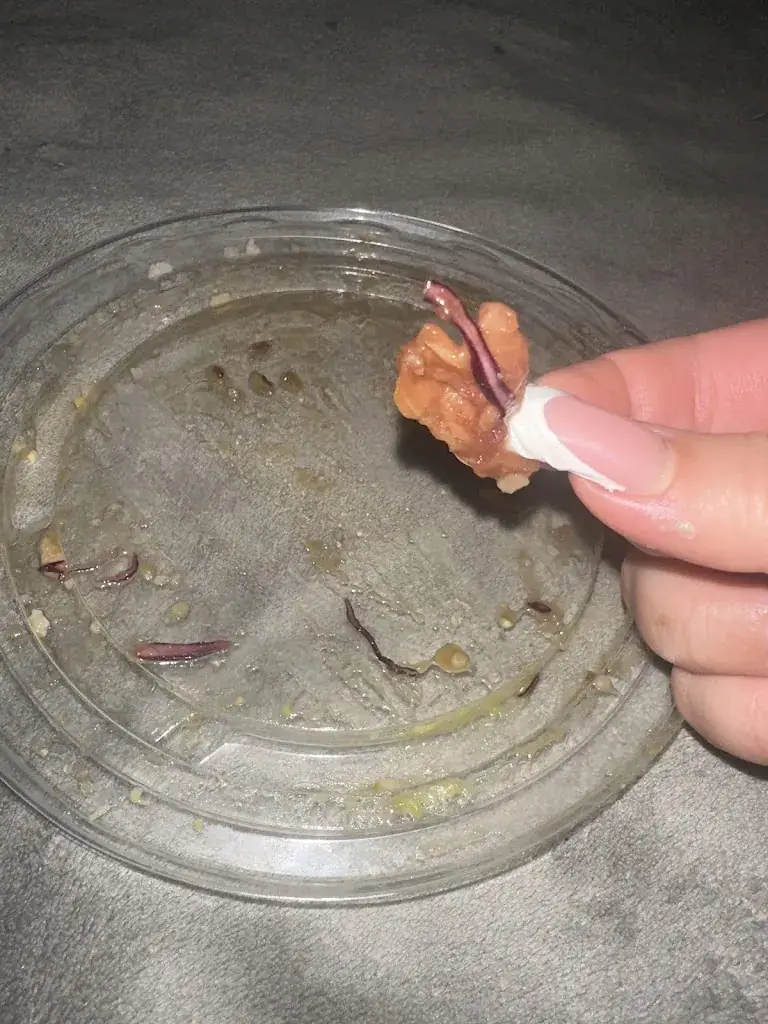 Elisabete Brandão de Sousa_FOOD BOWL BERSET_Bulle_review