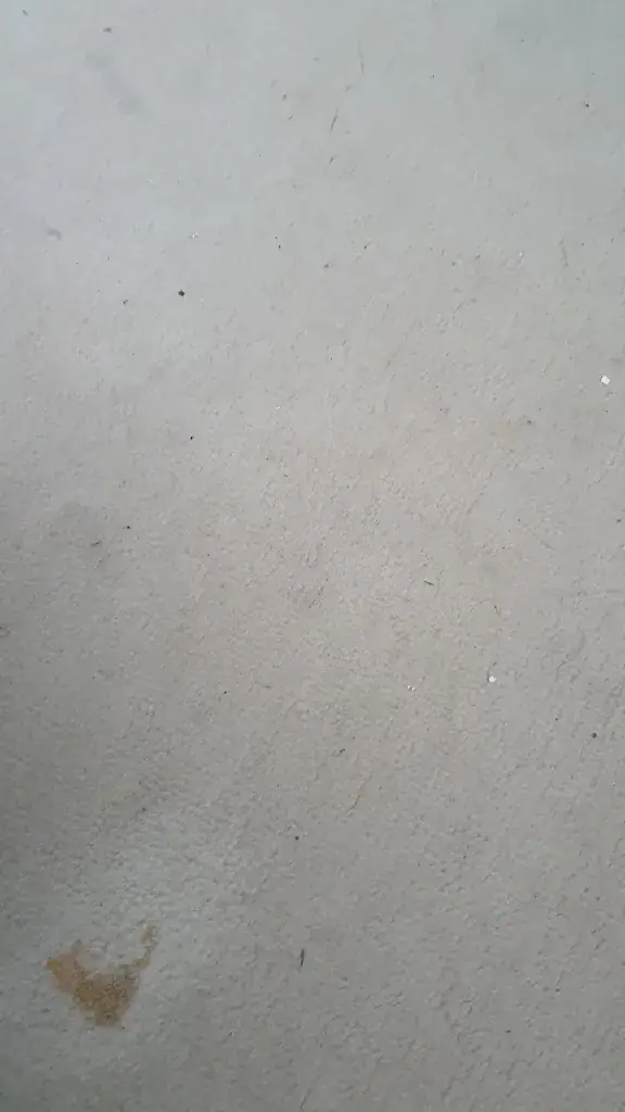 Gosset-Raut Léanne_Hôtel Restaurant Mazmoura_Reignac-sur-Indre_review