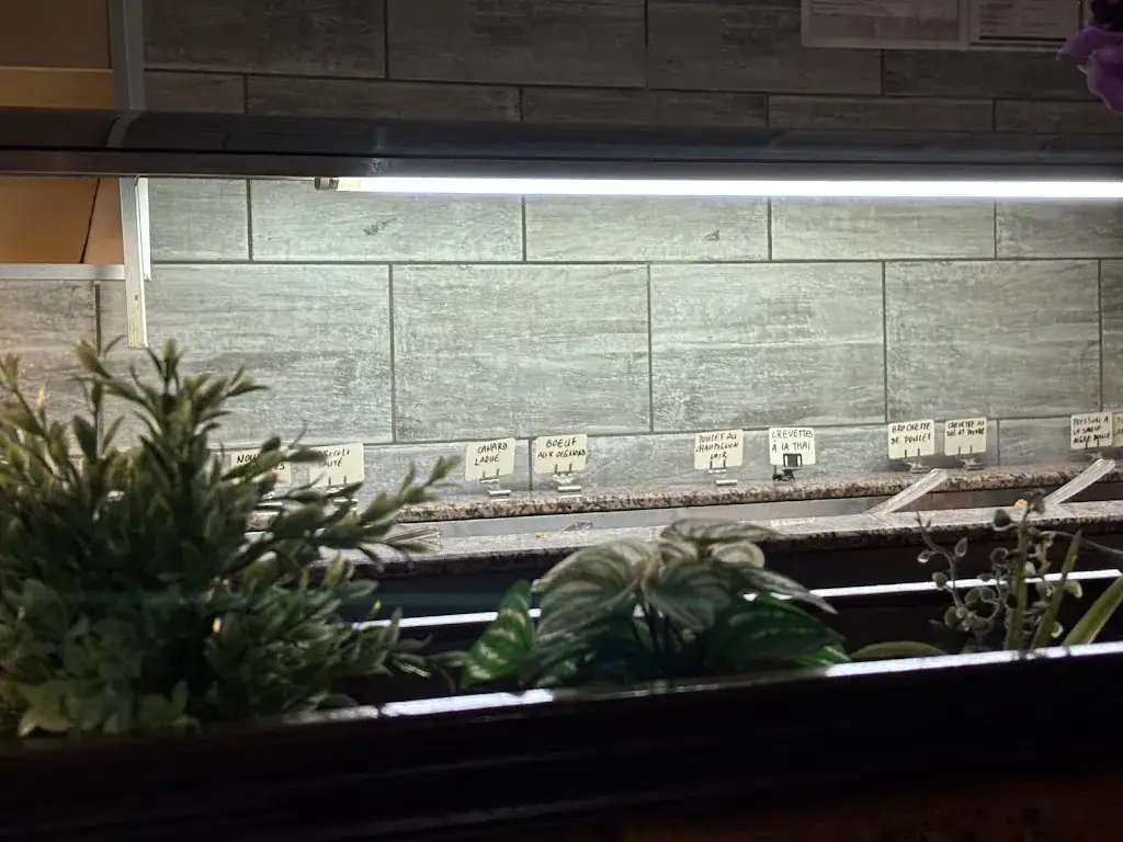 Justine Pasquier_L’étoile d’Asie_Nogent-le-Rotrou_review