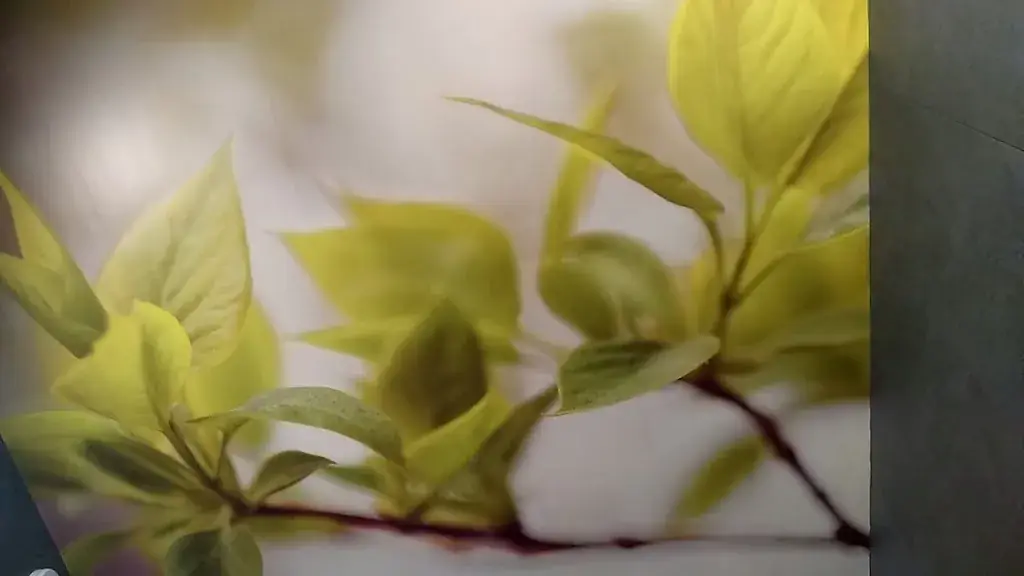 John Michelle_Patapain_Saint-Amand-Montrond_review