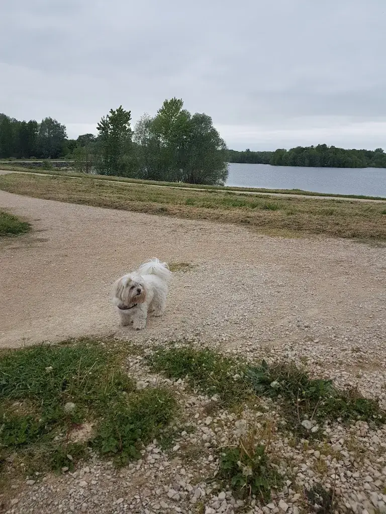 Natalia Segura_HOTEL LE NOIRLAC RESTAURANT LE 215_Saint-Amand-Montrond_review