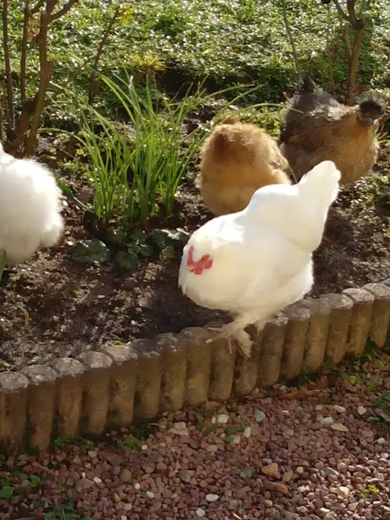 O Resto_Pouzay_slider_image_3