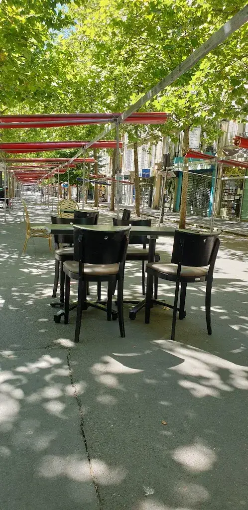 Le Zinc restaurant in Paris